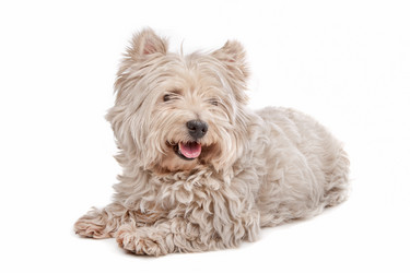 Similar image 1471798