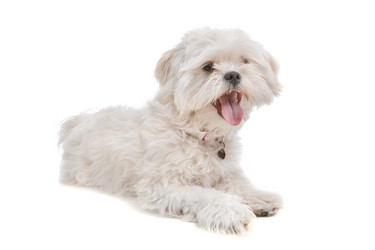 Similar image 1471803