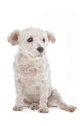 Similar image 1471806