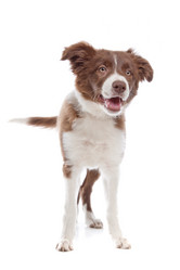 Similar image 1471811