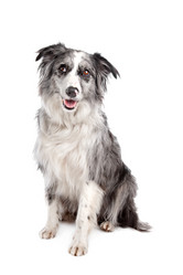 Similar image 1471823