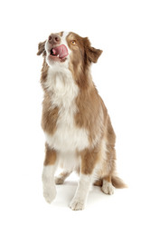 Similar image 1471840