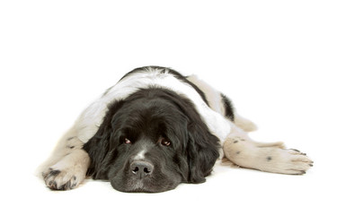 Similar image 1471846