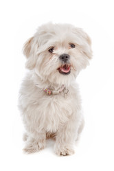 Similar image 1471853