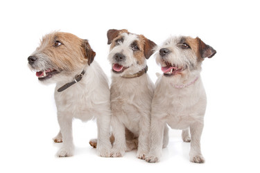 Similar image 1471867