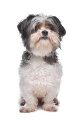 Similar image 1471891