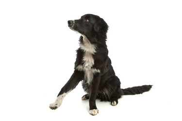 Similar image 1471906