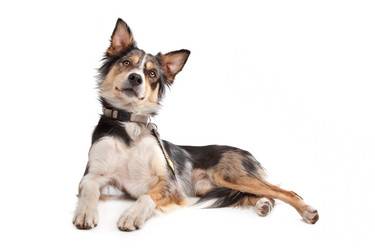 Similar image 1471912