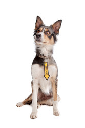 Similar image 1471919