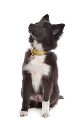 Similar image 1471923