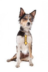 Similar image 1471930