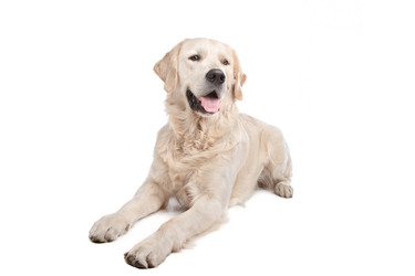 Similar image 1471932