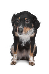 Similar image 1471945