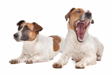 Similar image 1471948