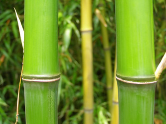 Similar image 1472004