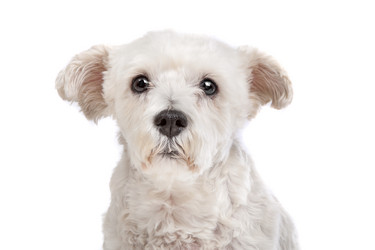 Similar image 1472025