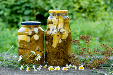 Similar image 1472037