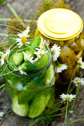 Similar image 1472038