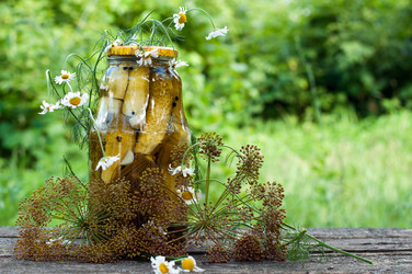 Similar image 1472040