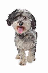 Similar image 1472054