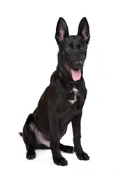 Similar image 1472059