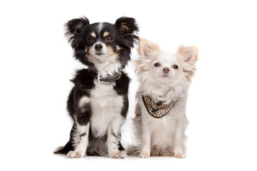 Similar image 1472067