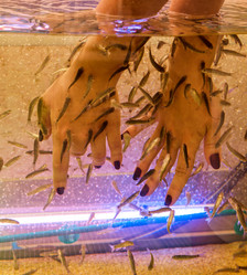 Similar image 1472120