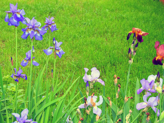 Similar image 1472182