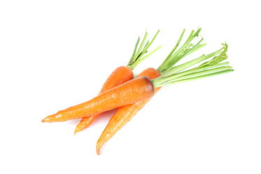 Similar image 1472255