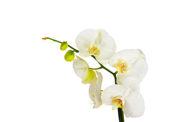 Similar image 1472268