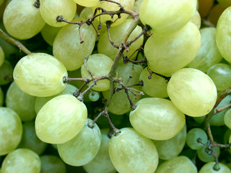 Similar image 1472367