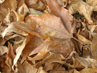 Similar image 1472370