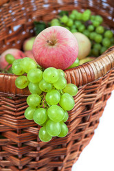 Similar image 1472382