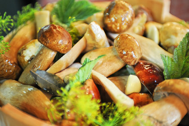 Similar image 1472389