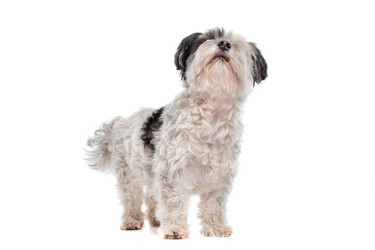 Similar image 1472417