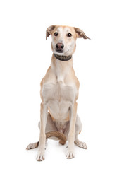 Similar image 1472423