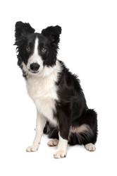 Similar image 1472428