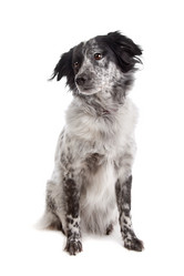 Similar image 1472431