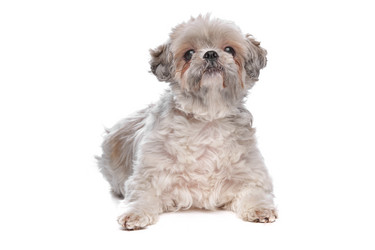 Similar image 1472433