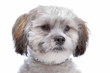 Similar image 1472474