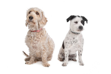 Similar image 1472483