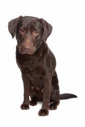 Similar image 1472487