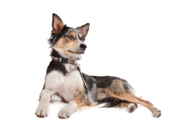 Similar image 1472489