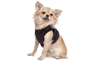 Similar image 1472500