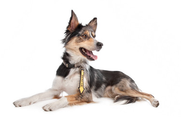 Similar image 1472501