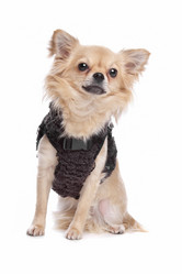 Similar image 1472504