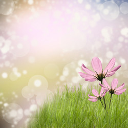 Similar image 1472524