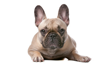 Similar image 1472550