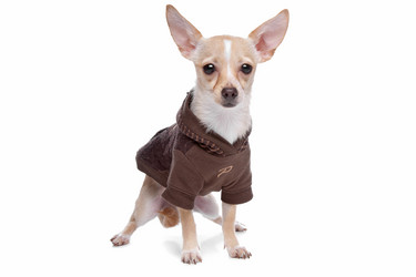 Similar image 1472560