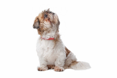 Similar image 1472561